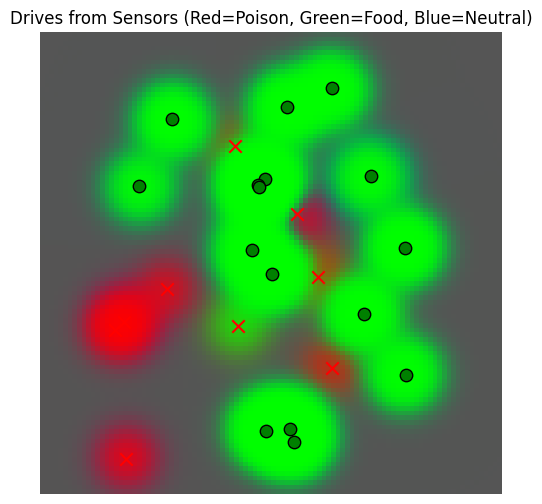 <Figure size 600x600 with 1 Axes>